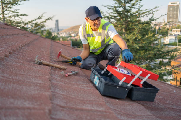 Best Attic Cleanout  in Paloma Creek, TX